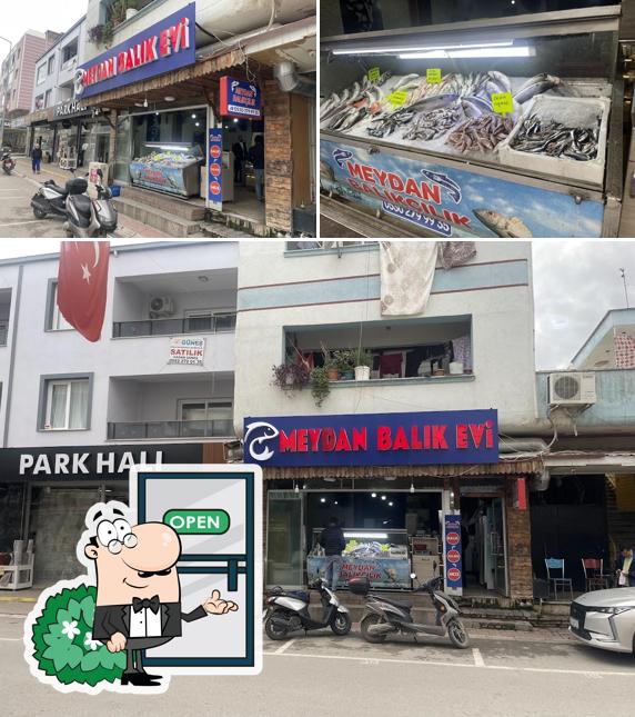 Meydan Balıkçılık