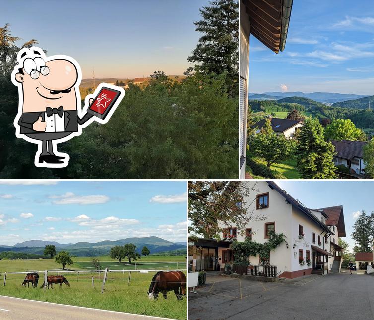 Landgasthaus-Hotel Maien Inh. Oliver Börner