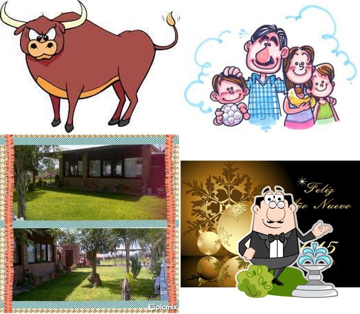 Toritos