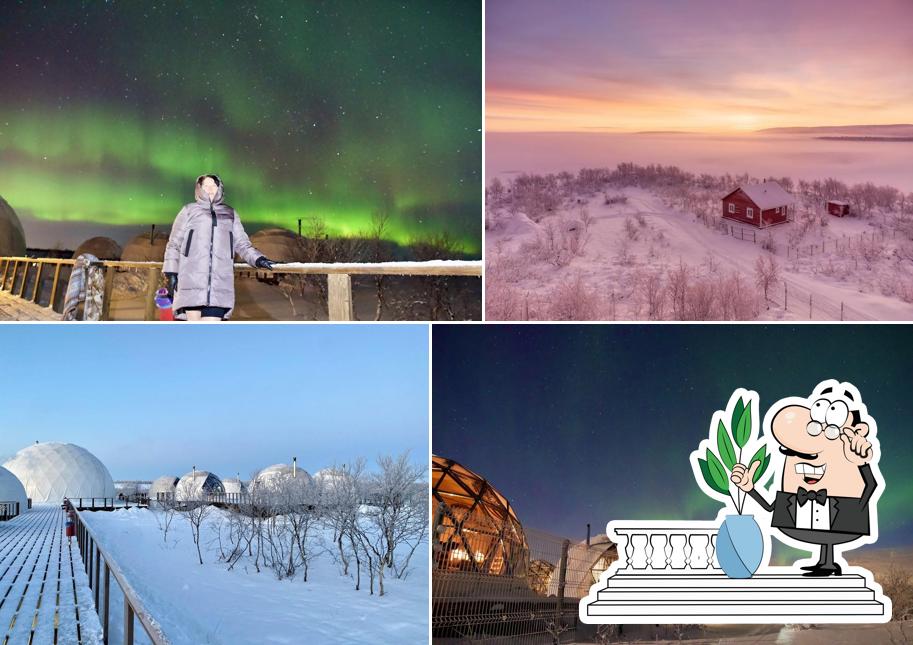 Глэмпинг Аврора Вилладж Деревня Северного Сияния Отель Aurora Village Murmansk Eco Hotel Igloo officially site Аврора Вилладж Официальный сайт. Купола - Иглу ждут Вас в Эко отеле Мурманске в 50 км по дороге в Териберку