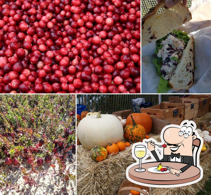 Makepeace Farms