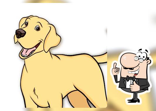 G Diggity Dog's