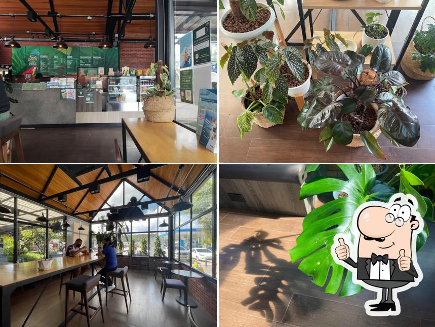 Café Amazon ปตท.เวียงเชียงของ
