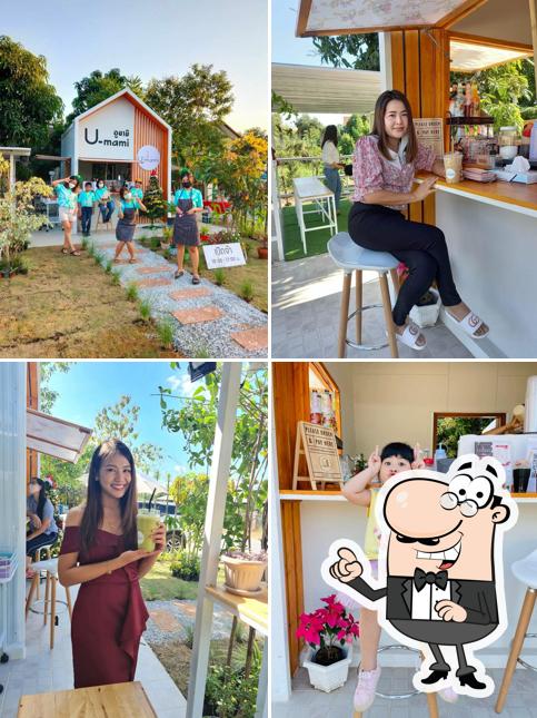 U-Mami Café - Watbot อูมามิ คาเฟ่
