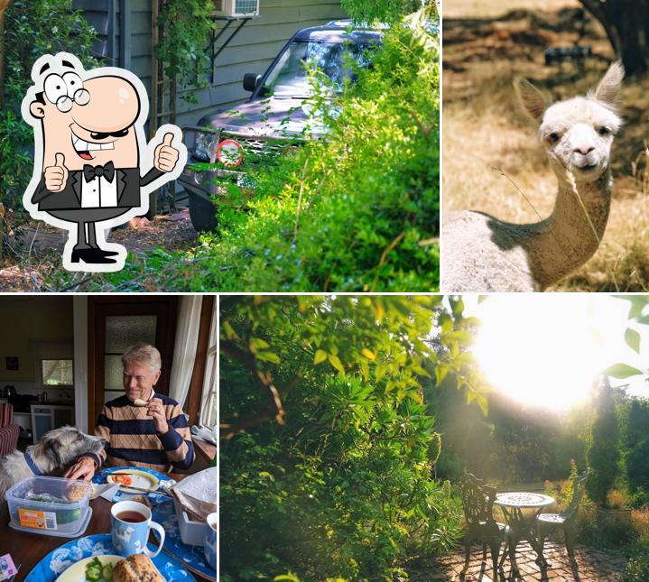 Summerhill Farm Bed & Breakfast