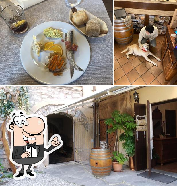 Ittiturismo Ristorante Mella