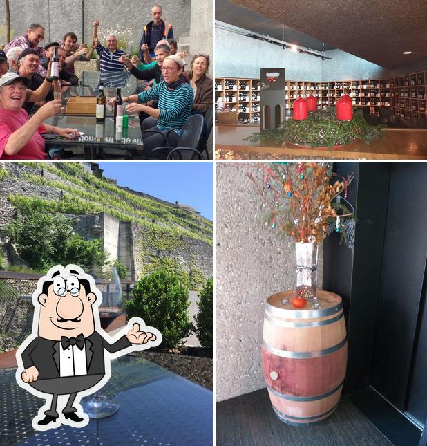 Lavaux Vinorama