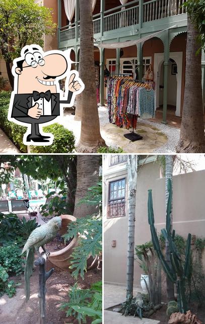 Le Jardin de la Medina