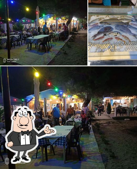 FISH TAVERNA GATOS