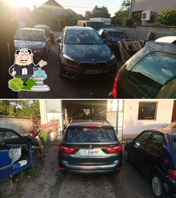 Plavi