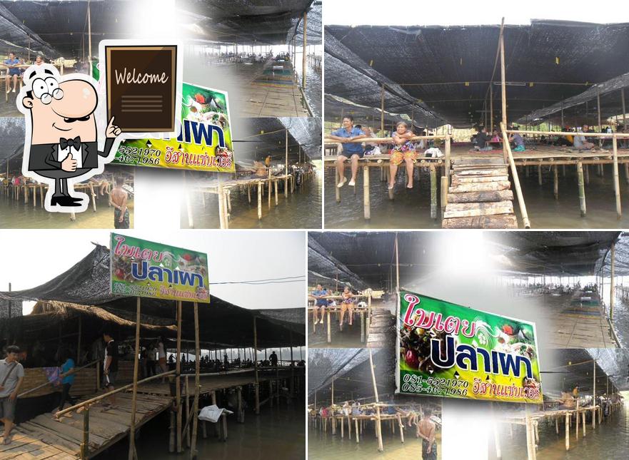 ใบเตย ปลาเผา