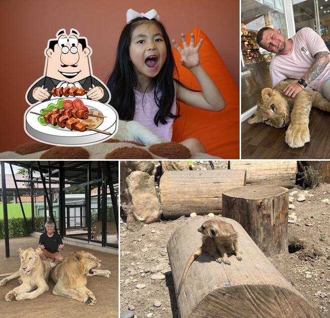 Lion Cafe Phuket