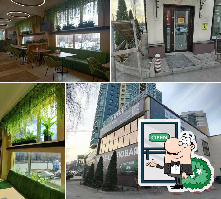 Ёлки Green