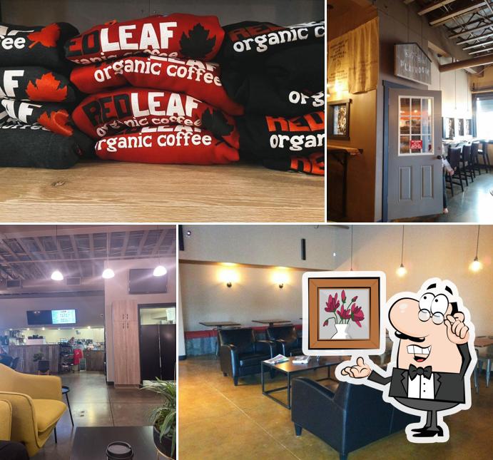 Red Leaf Organic Coffee Kelso