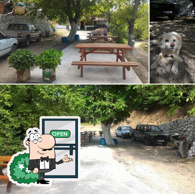 Karapınar Alabalık Çiftliği