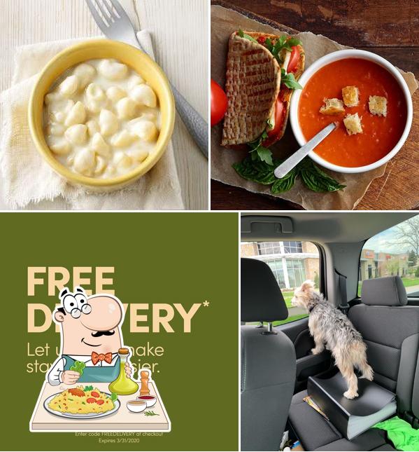 Panera Bread