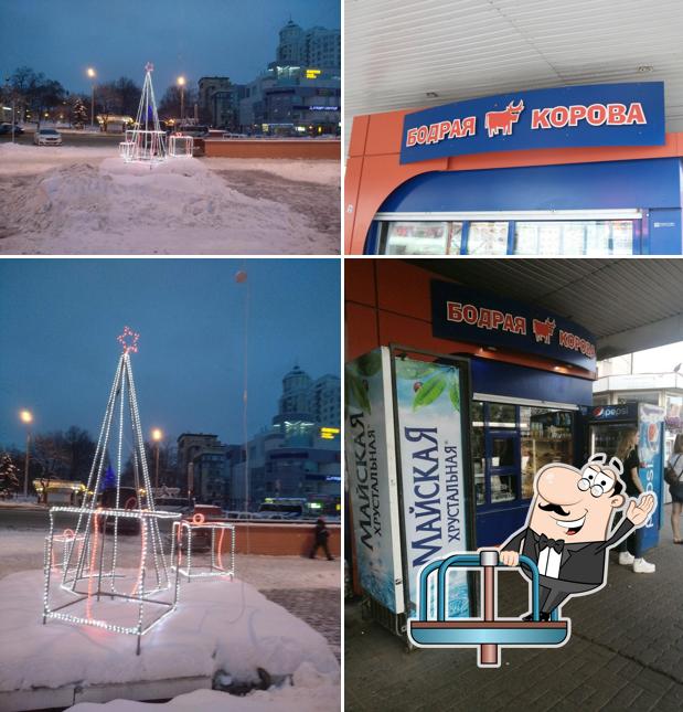 Бодрая корова