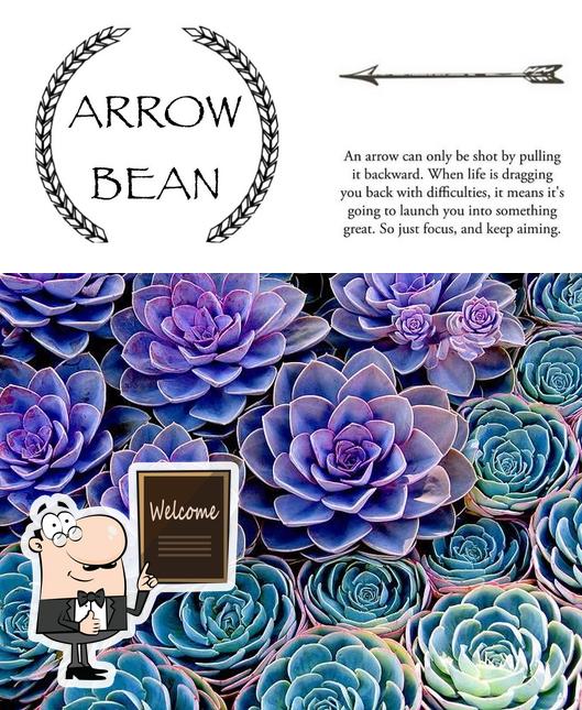 Arrow Bean Bundaberg