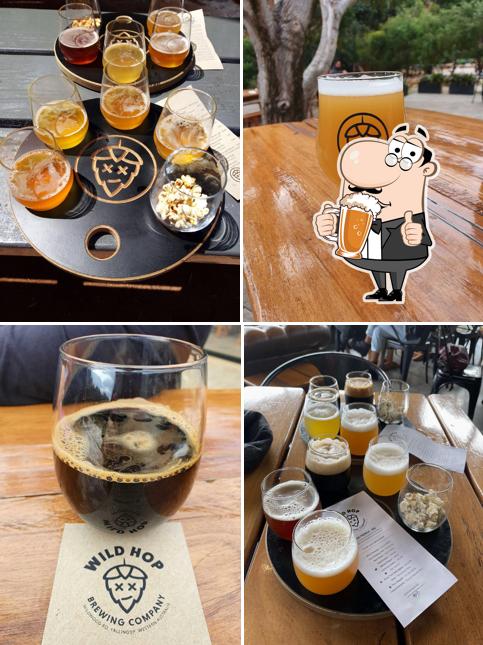 Wild Hop Brewing Company