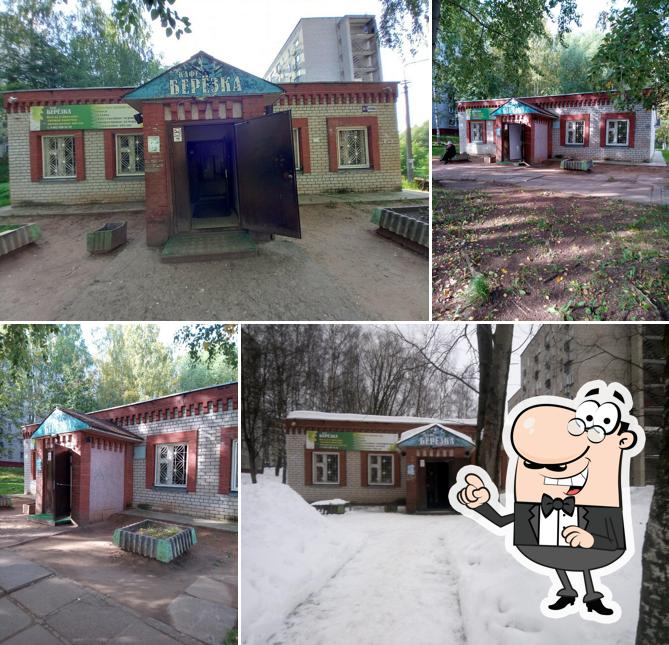 Берёзка