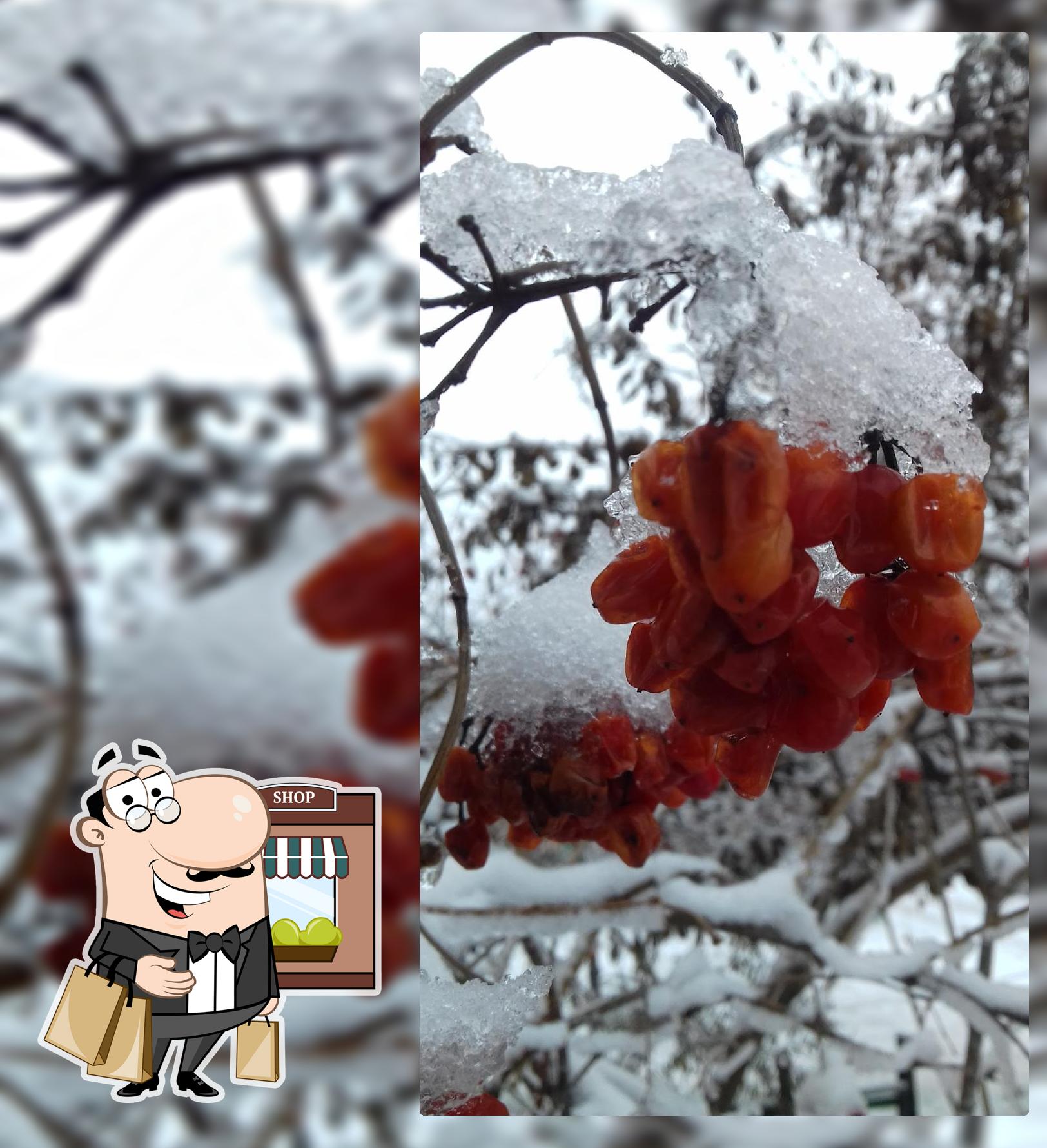 Вафельный Домик