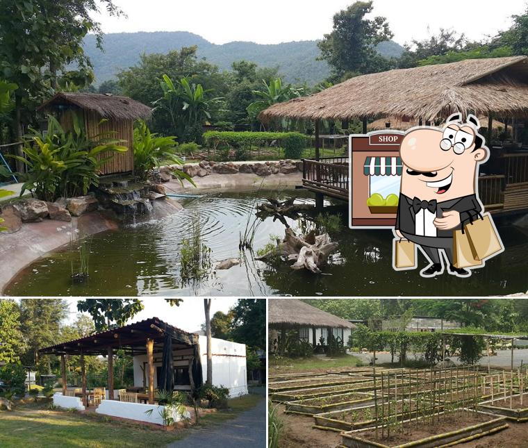 Village Green Wellness Retreat