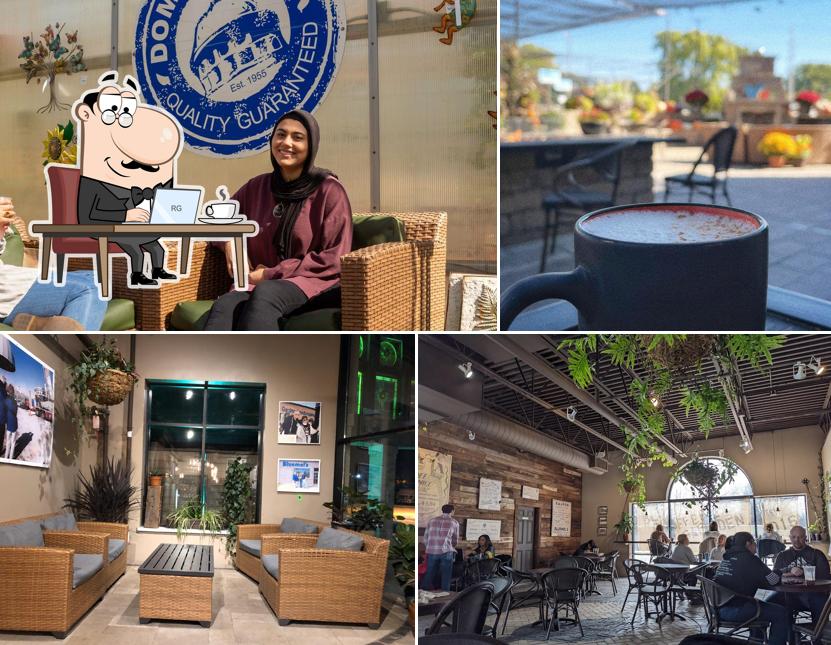 Blüm Coffee Garden