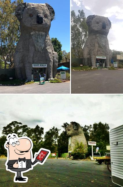 Giant Koala Restaurant Tourist Complex