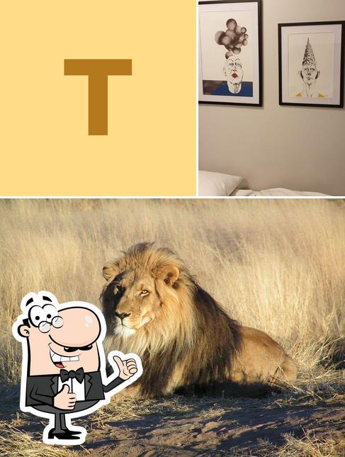 TtestSb6