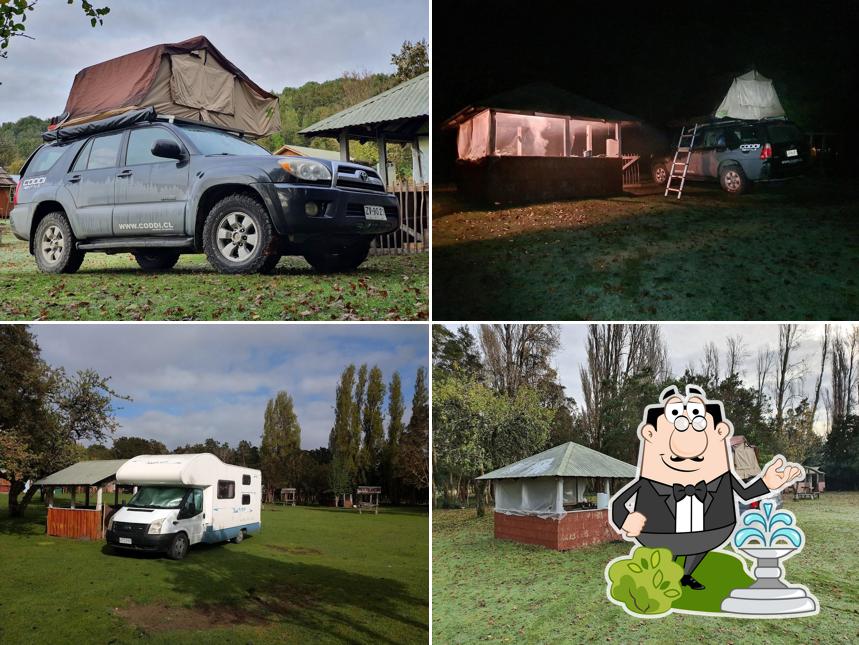 Camping Neptuno
