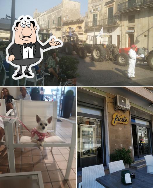 Caffè Ficile
