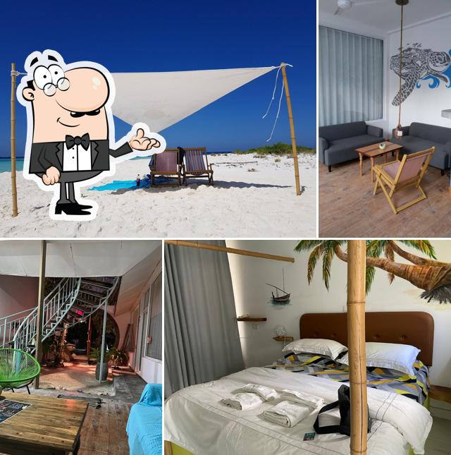The Amazing Noovilu Guesthouse - possibly the best guesthouse in the Maldives