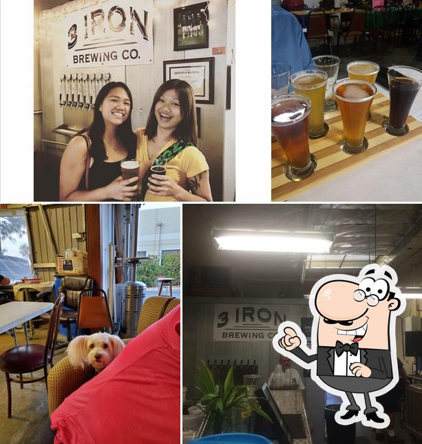 3 Iron Brewing Co