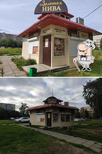 Золотая нива