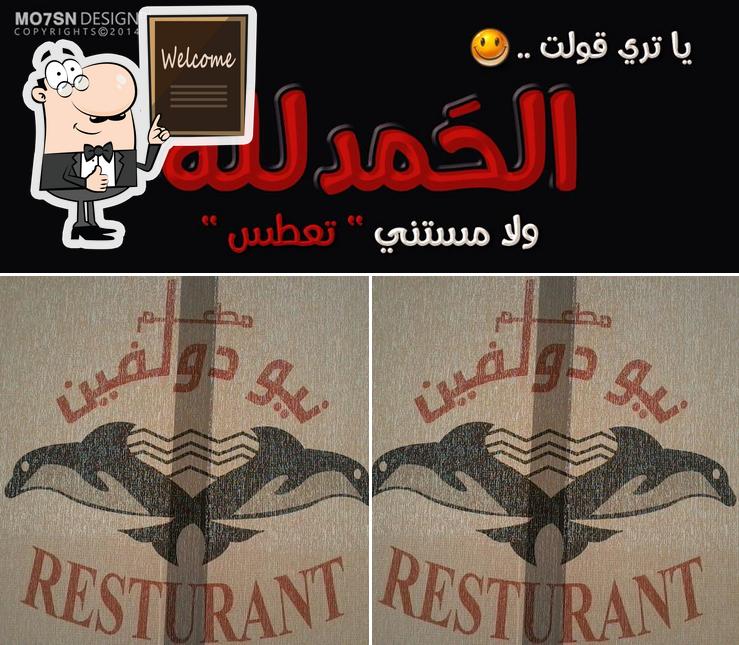نيو دولفين