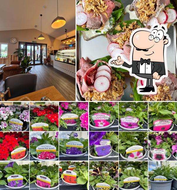 Willow Tree Farm Shop & Cafe