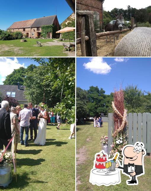 Kleine Schäferei Biesenbrow/Uckermark