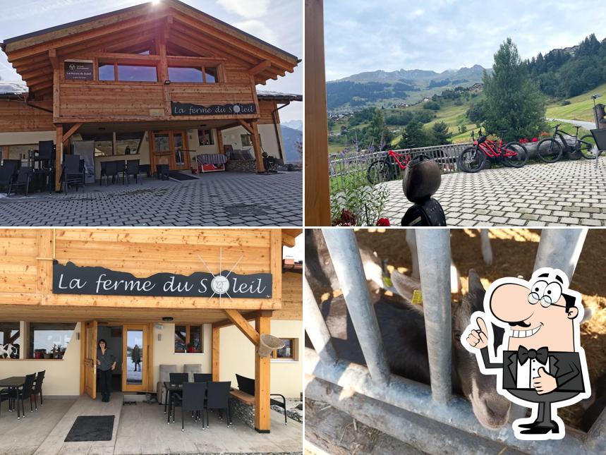 La Ferme du Soleil