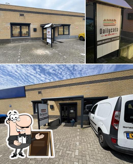 Dailycato Venlo