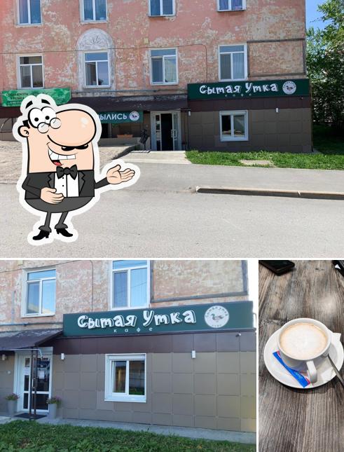 Сытая утка