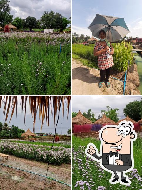 Pakdong Flower Field