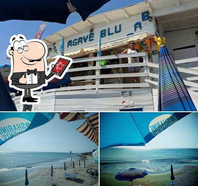 Bar Agave Blu