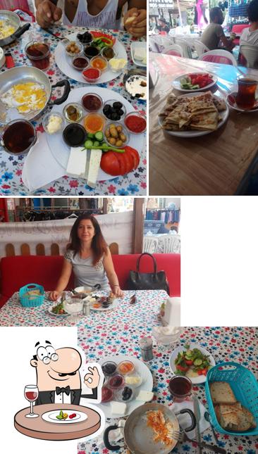 Güney Organik Dünyası