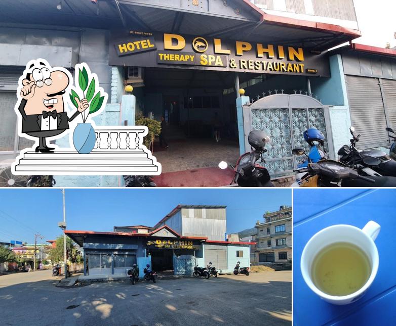 Dolphin Hotel