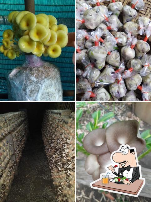 ฝาแฝดฟาร์ม