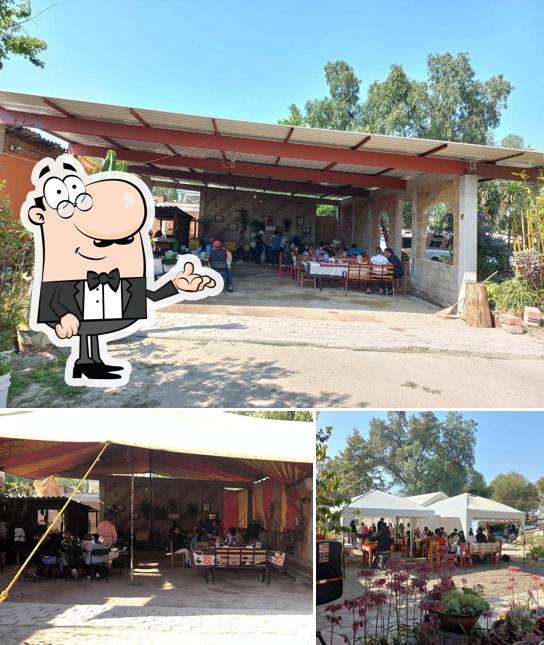 Barbacoa "los cactus"