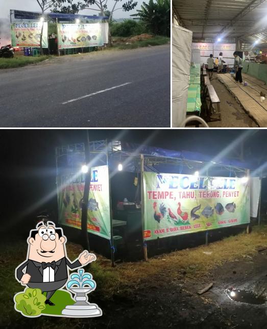 PECEL LELE MJ36