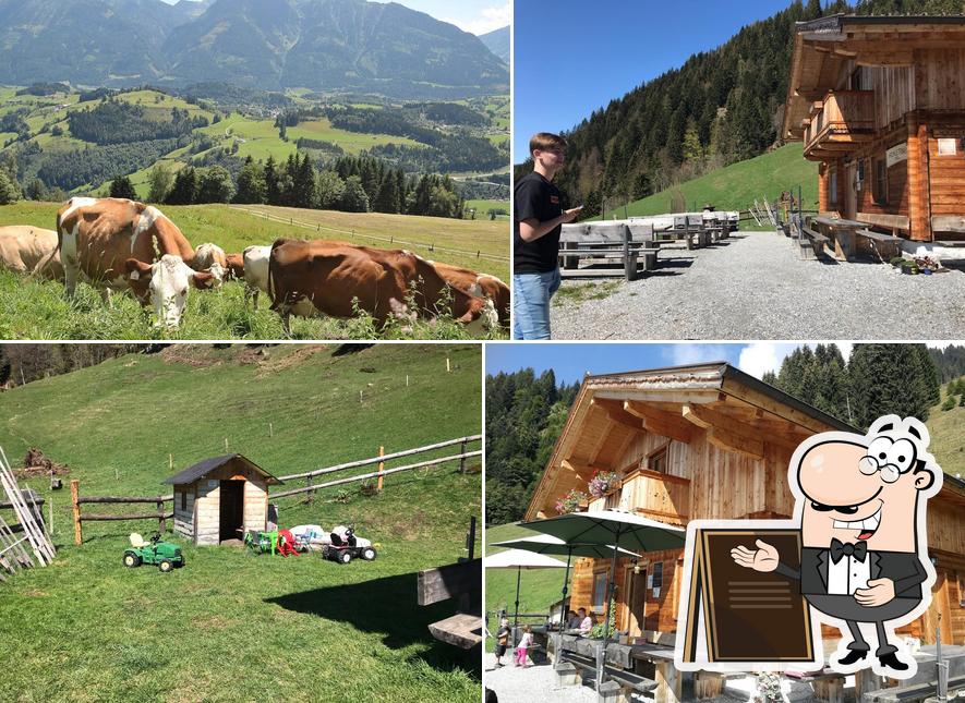 Hochleitenalm