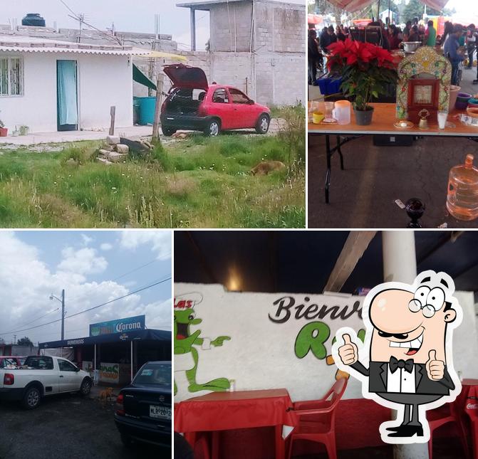 Tacos Las Ranas