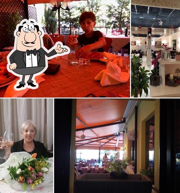 Paradiso. L'arte di fare la pizza